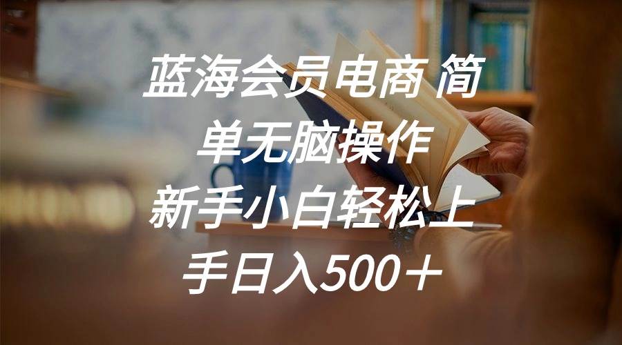 蓝海会员电商 简单无脑操作 新手小白轻松上手日入500＋-齐力副业