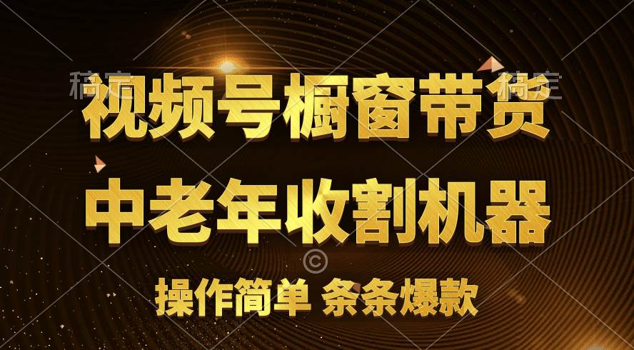 [你的孩子成功取得高位]视频号最火爆赛道，橱窗带货，流量分成计划，条...-齐力副业