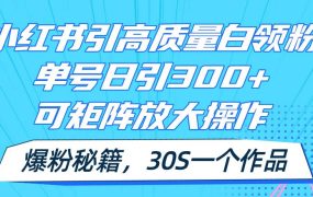 小红书引高质量白领粉，单号日引300+，可放大操作，爆粉秘籍！30s一个作品-知行副业网