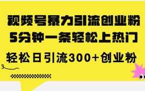 视频号暴力引流创业粉，5分钟一条轻松上热门，轻松日引流300+创业粉-齐力副业
