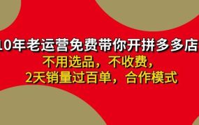 拼多多 最新合作开店日收4000+两天销量过百单，无学费、老运营代操作、...-齐力副业