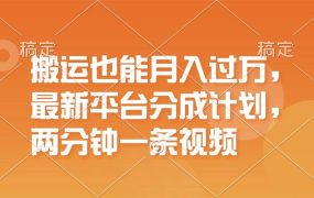 搬运也能月入过万，最新平台分成计划，一万播放一百米，一分钟一个作品-齐力副业
