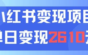 利用小红书卖资料单日引流150人当日变现2610元小白可实操（教程+资料）-齐力副业