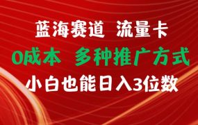 蓝海赛道 流量卡 0成本 小白也能日入三位数-齐力副业