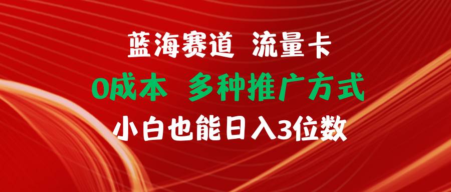 蓝海赛道 流量卡 0成本 小白也能日入三位数-齐力副业