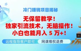 冷门赚钱项目无保留教学！独家引流技术，无脑操作！小白也能月入5万+！-齐力副业