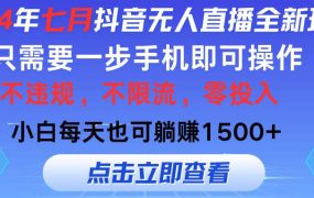 2024年七月抖音无人直播全新玩法，只需一部手机即可操作，小白每天也可...-齐力副业