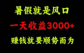 一天收益3000+ 赚钱就是顺势而为，暑假就是风口-齐力副业