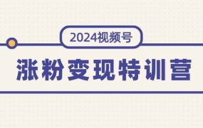 2024视频号-涨粉变现特训营：一站式打造稳定视频号涨粉变现模式（10节）-齐力副业