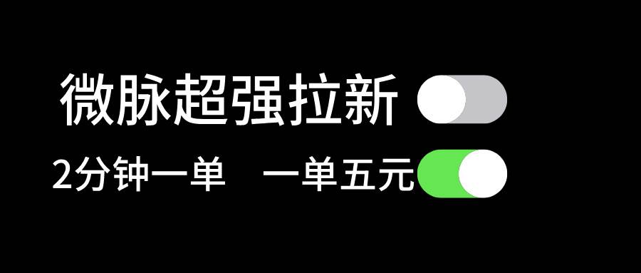 微脉超强拉新， 两分钟1单， 一单利润5块，适合小白-齐力副业