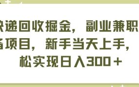 快递回收掘金，副业兼职必备项目，新手当天上手，轻松实现日入300＋-齐力副业
