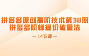 拼多多原创高阶技术第38期，拼多多阶梯提价破量法（14节课）-齐力副业