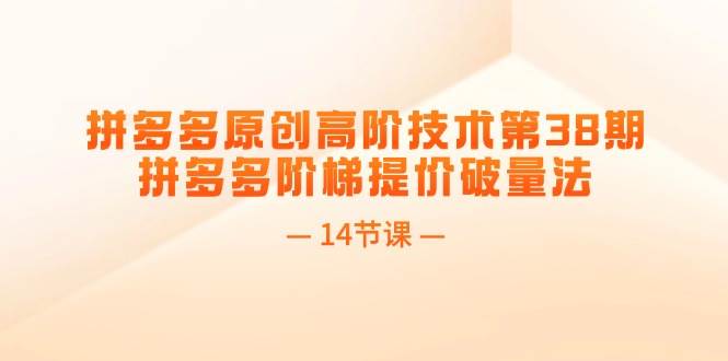 拼多多原创高阶技术第38期，拼多多阶梯提价破量法（14节课）-齐力副业