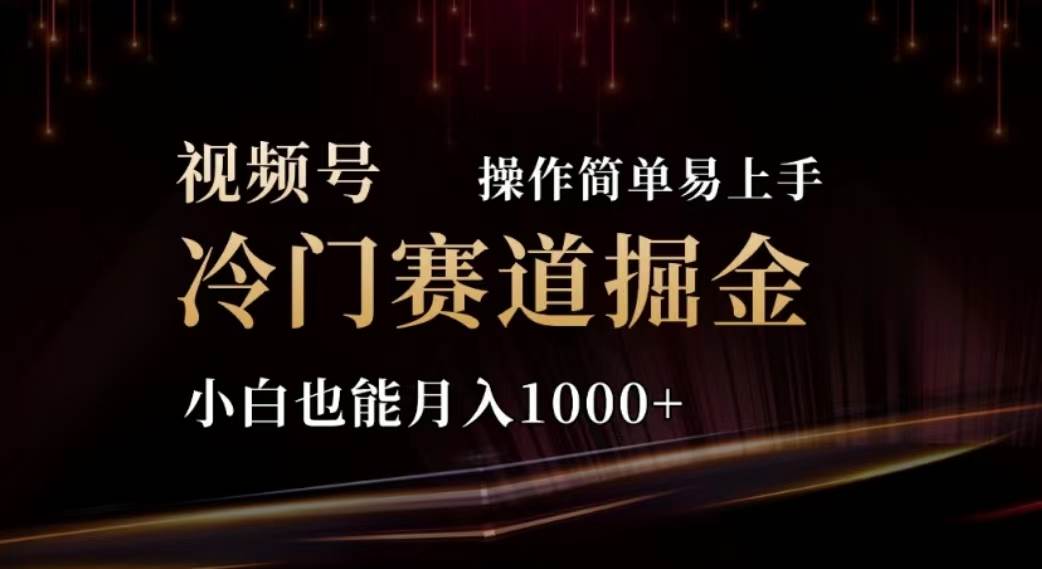 2024视频号冷门赛道掘金，操作简单轻松上手，小白也能月入1000+-齐力副业