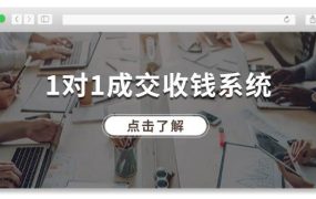 1对1成交 收钱系统，十年专注于引流和成交，全网130万+粉丝-齐力副业