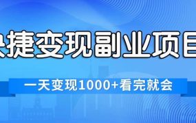 快捷变现的副业项目，一天变现1000+，各平台最火赛道，看完就会-齐力副业
