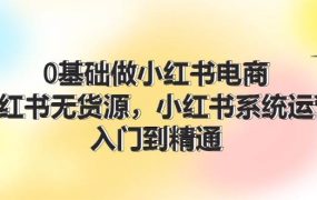 0基础做小红书电商,小红书无货源,小红书系统运营,入门到精通 (70节)-齐力副业