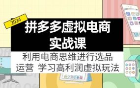 拼多多虚拟电商实战课:利用电商思维进行选品+运营,学习高利润虚拟玩法-齐力副业