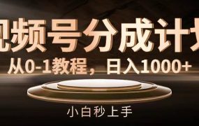 视频号分成计划，从0-1教程，日入1000+-齐力副业