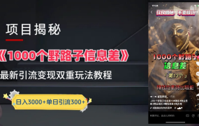 抖音一千个野路子信息差最新玩法教程-变现＋引流的玩法具体拆解-齐力副业