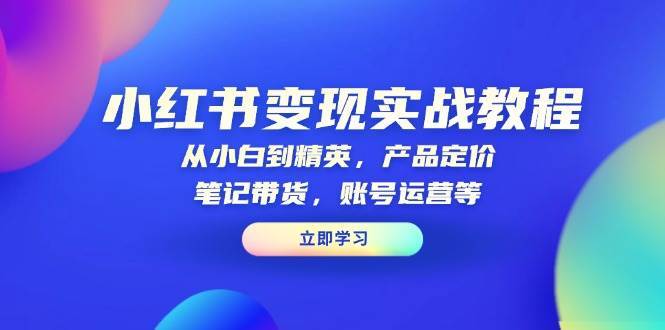 小红书变现实战教程：从小白到精英，产品定价，笔记带货，账号运营等-齐力副业