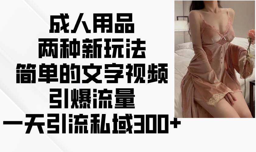 成人用品两种新玩法，简单的文字视频引爆流量，一天引流私域300+-齐力副业