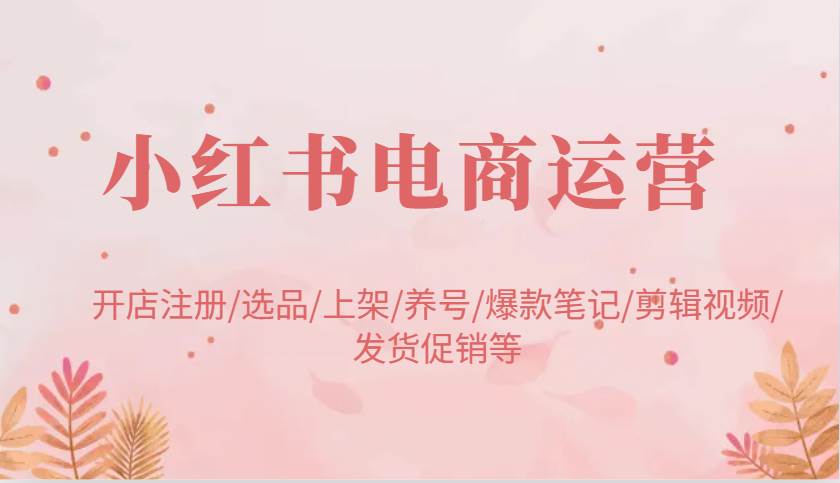 小红书电商运营：开店注册/选品/上架/养号/爆款笔记/剪辑视频/发货促销等-齐力副业