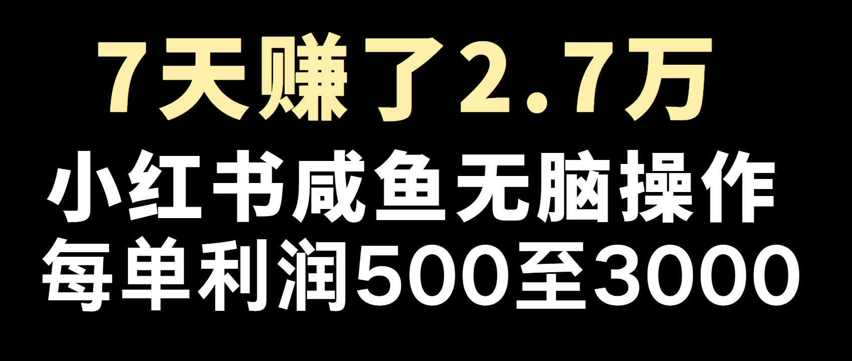 全网首发，7天赚了2.6万，2025利润超级高！-齐力副业