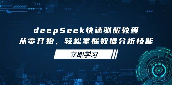 deepSeek快速驯服教程，从零开始，轻松掌握数据分析技能-齐力副业