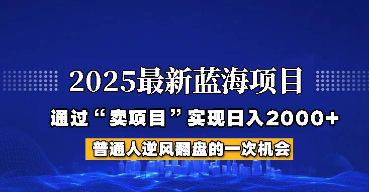 2025年蓝海项目，如何通过“网创项目”日入2000+-齐力副业