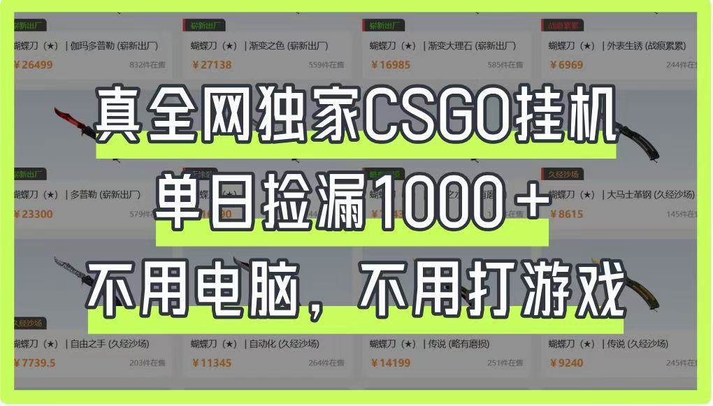 真全网独家CSGO挂机，单日捡漏1000+，不用电脑，不用养号-齐力副业