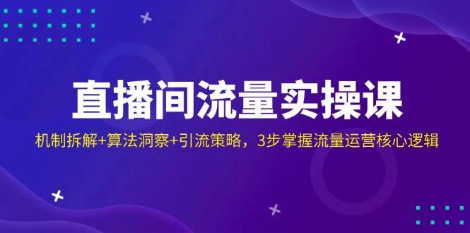 直播间流量实操课：机制拆解+算法洞察+引流策略，3步掌握流量运营核心逻辑-齐力副业