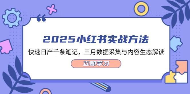 2025小红书实战方法，快速日产千条笔记，三月数据采集与内容生态解读-齐力副业
