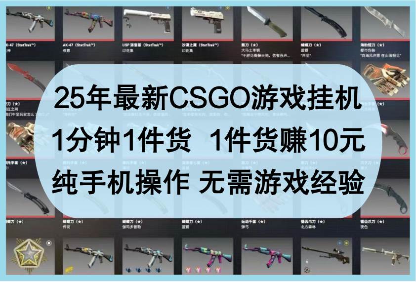 25年最新CSGO游戏挂机，1分钟1件货，1件货赚10元，纯手机操作，无需游戏经验-齐力副业
