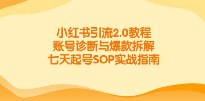 小红书引流2.0教程，账号诊断与爆款拆解，七天起号SOP实战指南-齐力副业