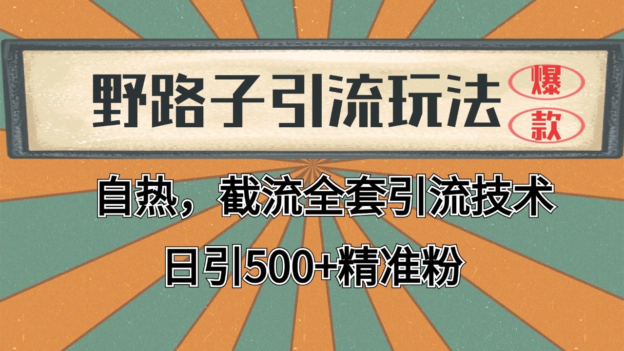 2024首发野路子引流玩法截流自热全平台打法，全自动引流【日引2000+精准客户】-齐力副业