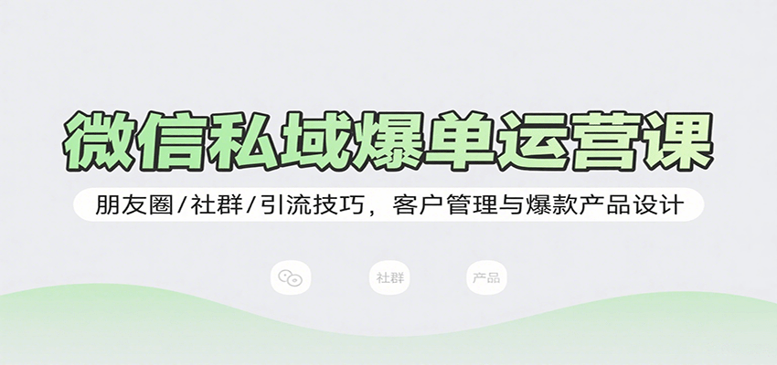 微信私域爆单运营课:朋友圈/社群/引流技巧,客户管理与爆款产品设计-齐力副业