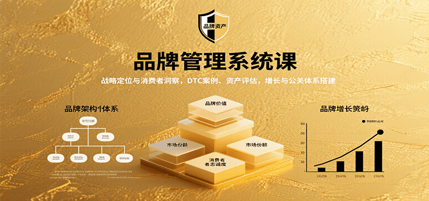 品牌管理系统课：战略定位与消费者洞察，DTC案例、资产评估，增长与公关体系搭建-齐力副业