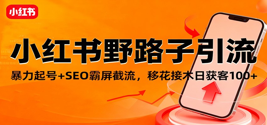 小红书野路子引流，暴力起号+SEO霸屏截流，移花接木日获客100+-齐力副业