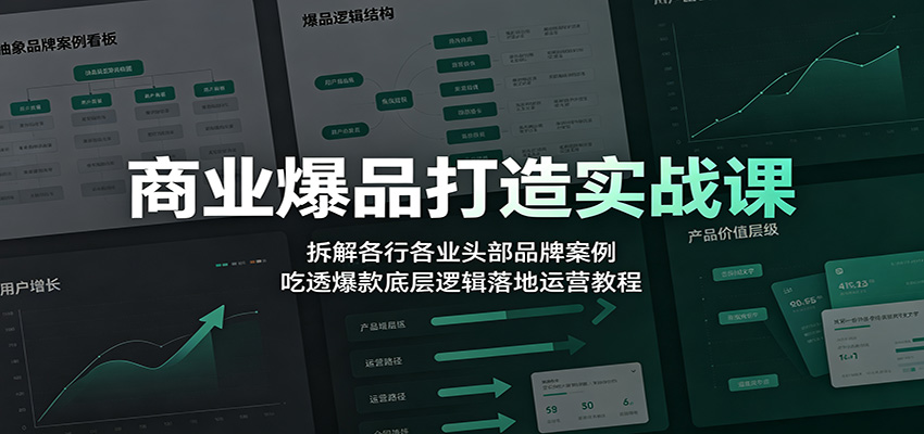 商业爆品打造实战课:拆解各行各业头部品牌案例,吃透爆款底层逻辑落地运营教程-齐力副业