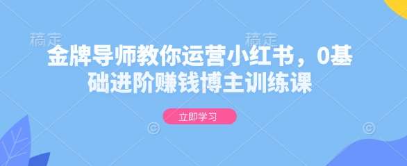 金牌导师教你运营小红书，0基础进阶赚钱博主训练课-齐力副业