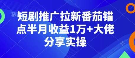 短剧推广拉新番茄锚点半月收益1万+大佬分享实操-齐力副业