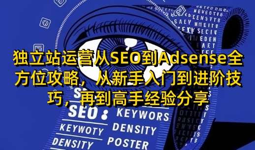 独立站运营从SEO到Adsense全方位攻略，从新手入门到进阶技巧，再到高手经验分享-齐力副业