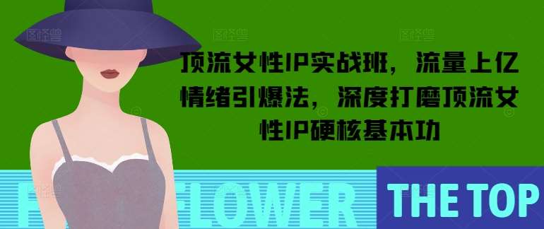 顶流女性IP实战班，流量上亿情绪引爆法，深度打磨顶流女性IP硬核基本功-齐力副业