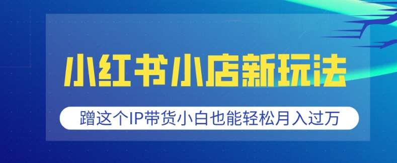 小红书小店新玩法，蹭这个IP带货，小白也能轻松月入过W【揭秘】-齐力副业