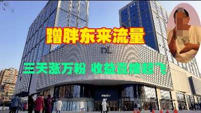 蹭胖东来流量，三天涨万粉，收益直接起飞-齐力副业