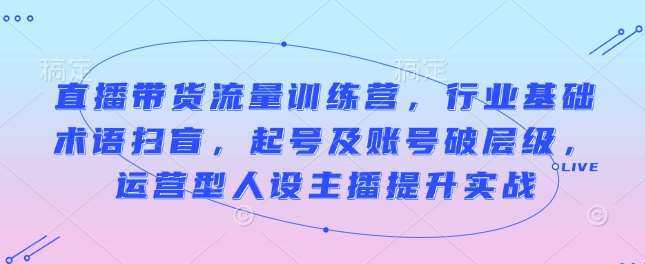 直播带货流量训练营，行业基础术语扫盲，起号及账号破层级，运营型人设主播提升实战-齐力副业