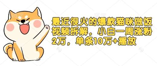 最近很火的爆款猫咪做饭视频拆解，小白一周涨粉2万，单条10万+播放(附保姆级教程)-齐力副业