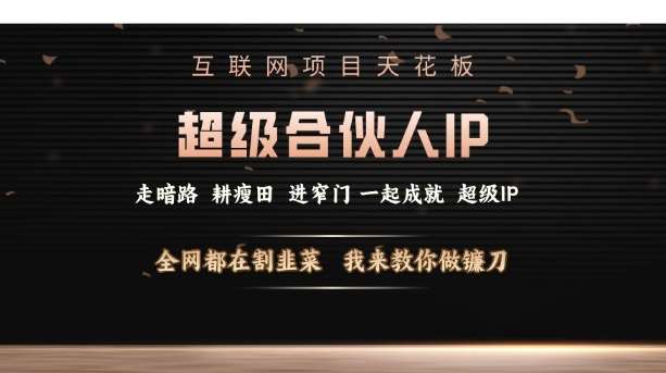 互联网项目天花板，超级合伙人IP，全网都在割韭菜，我来教你做镰刀【仅揭秘】-齐力副业