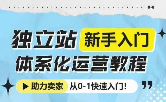 独立站新手入门体系化运营教程，助力独立站卖家从0-1快速入门!-齐力副业